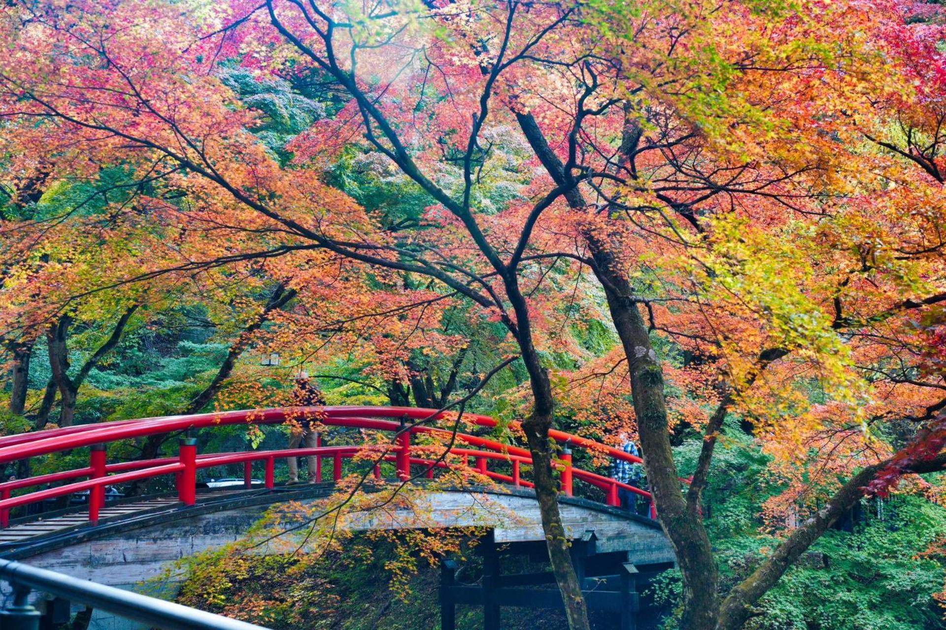 Отель Chigira Jinsentei Shibukawa Экстерьер фото